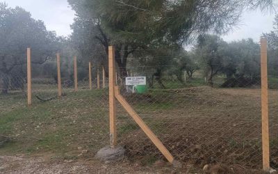 Torbalı Çit
